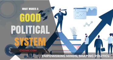 Exploring the Foundations of Effective Governance: What Makes a Good Political System?
