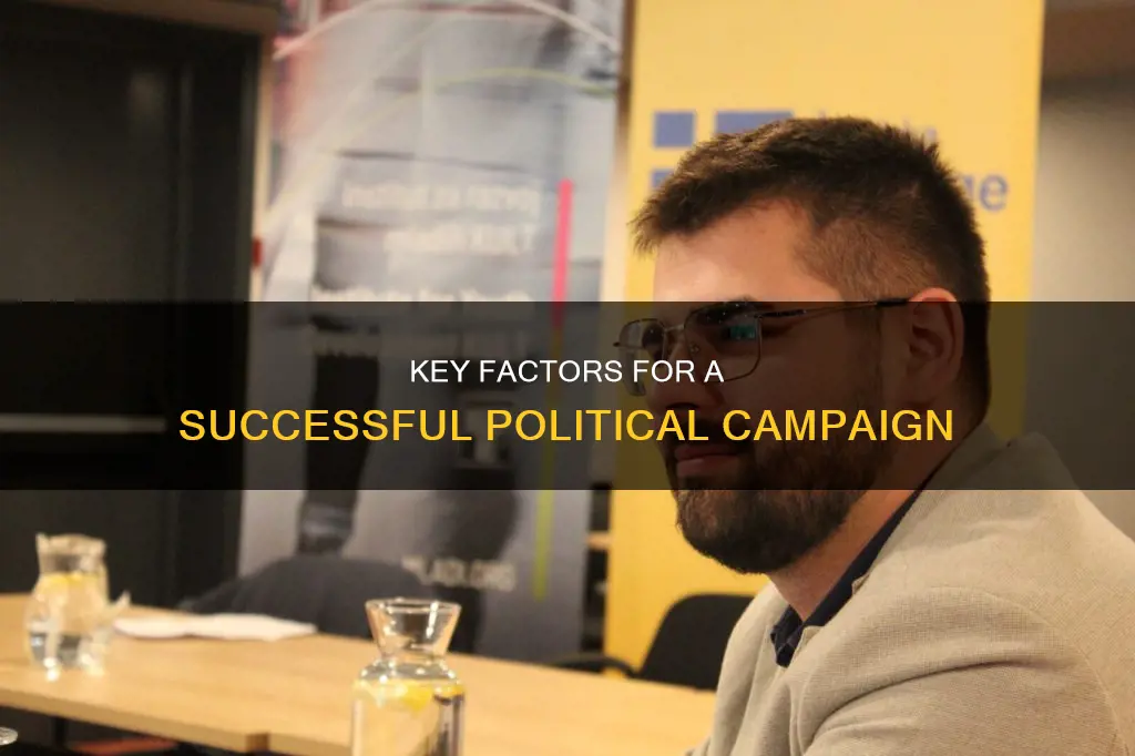 what makes a political campaign successful