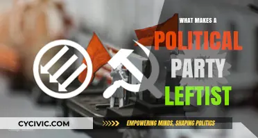 Defining Leftist Ideologies: Core Principles of a Political Party
