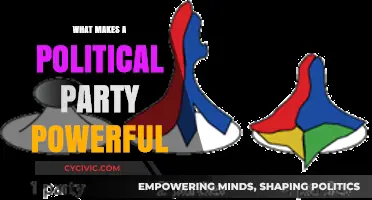 Key Factors Driving Political Party Power and Influence