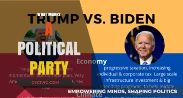 Understanding the Core Elements That Define a Political Party