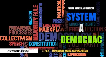 Exploring the Core Principles of a Democratic Political System