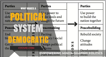 Exploring the Core Principles of a Democratic Political System
