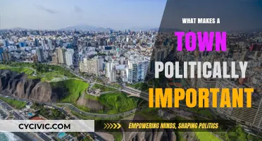 Power Dynamics: Unveiling the Political Significance of Towns