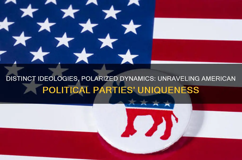 what makes american political parties unique