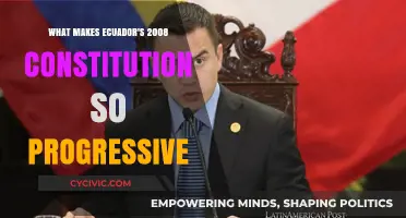 Ecuador's Constitution: Progressive Vision, Rights-Centric
