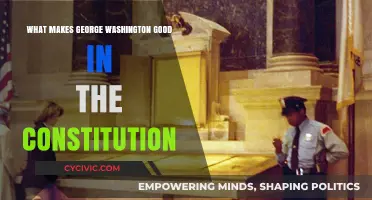 Washington's Constitution: Leadership and Legacy