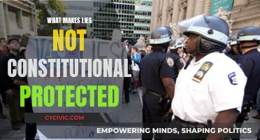 Lies, Law, and Freedom: What's the Legal Limit?