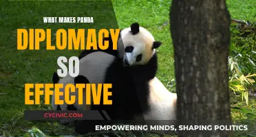 Panda Diplomacy: A Powerful Tool for Effective Relations