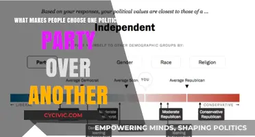 Why Voters Align: Uncovering Factors Behind Political Party Preferences