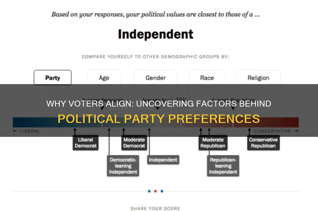 what makes people choose one political party over another