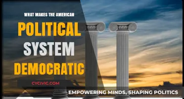 Exploring the Pillars of Democracy in the American Political System