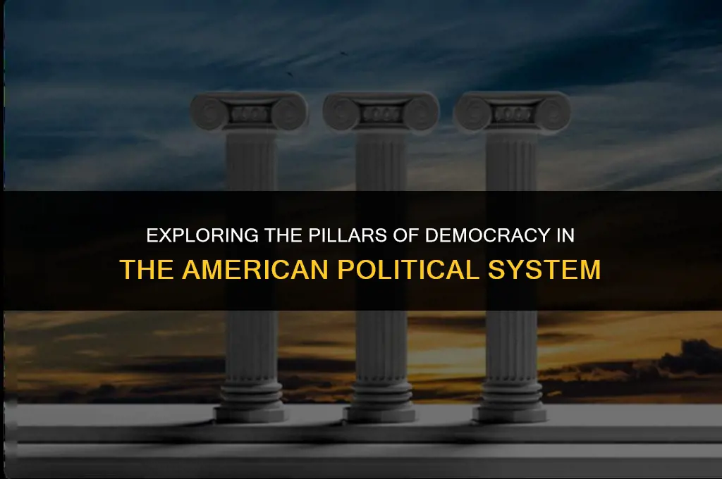 what makes the american political system democratic