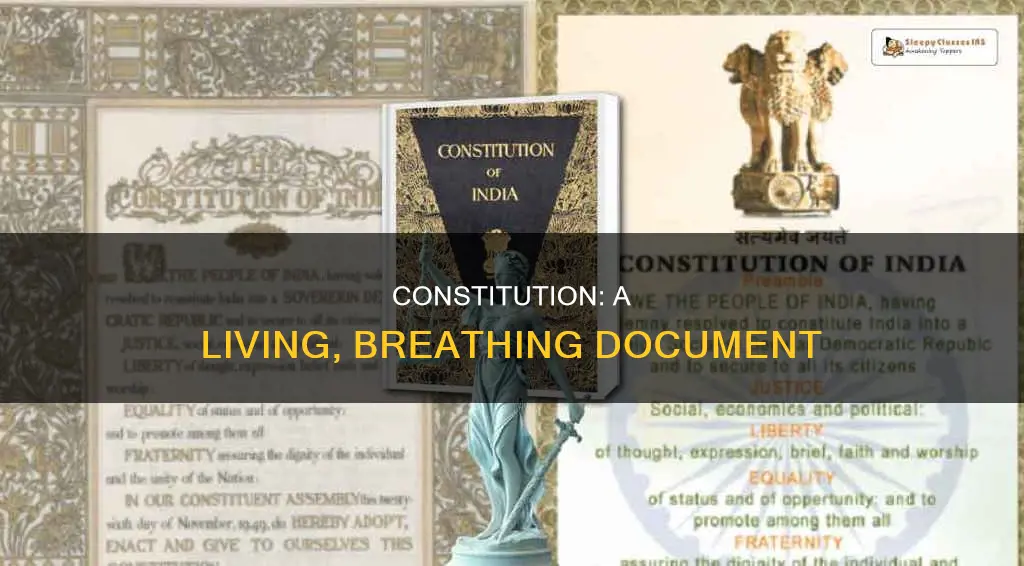 what makes the constitution a living and flexible document
