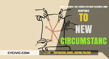 Constitution: Adapting to Change, Ensuring Flexibility