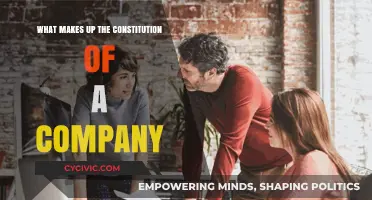 Company Constitution: Understanding the Building Blocks