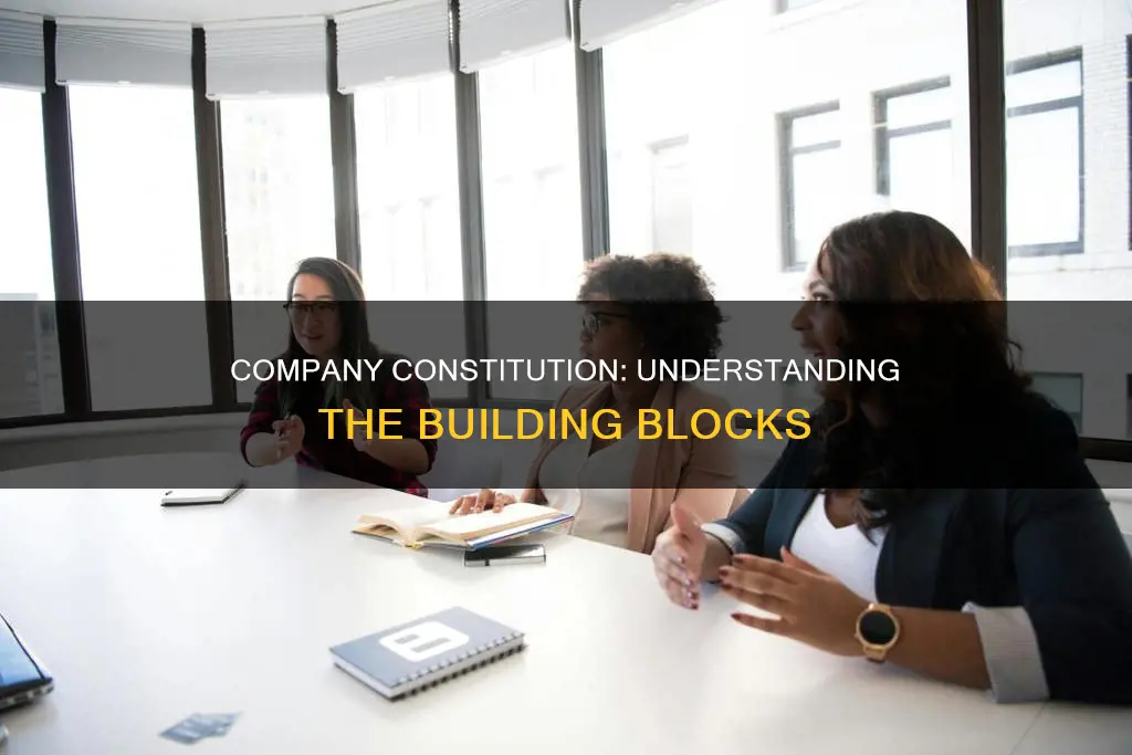 what makes up the constitution of a company