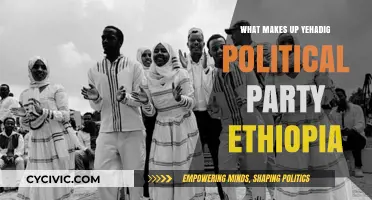 Understanding Ethiopia's Yehadig Party: Core Principles, Goals, and Political Influence