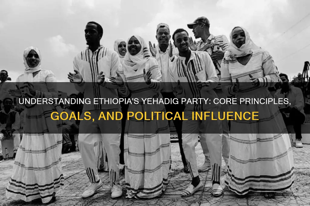 what makes up yehadig political party ethiopia