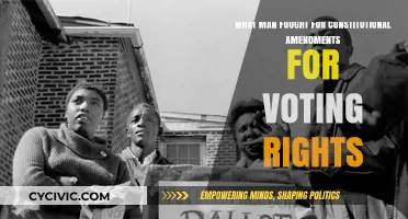Fight for Voting Rights: Constitutional Amendments Heroes