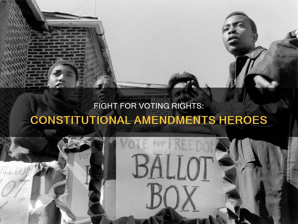 what man fought for constitutional amendments for voting rights