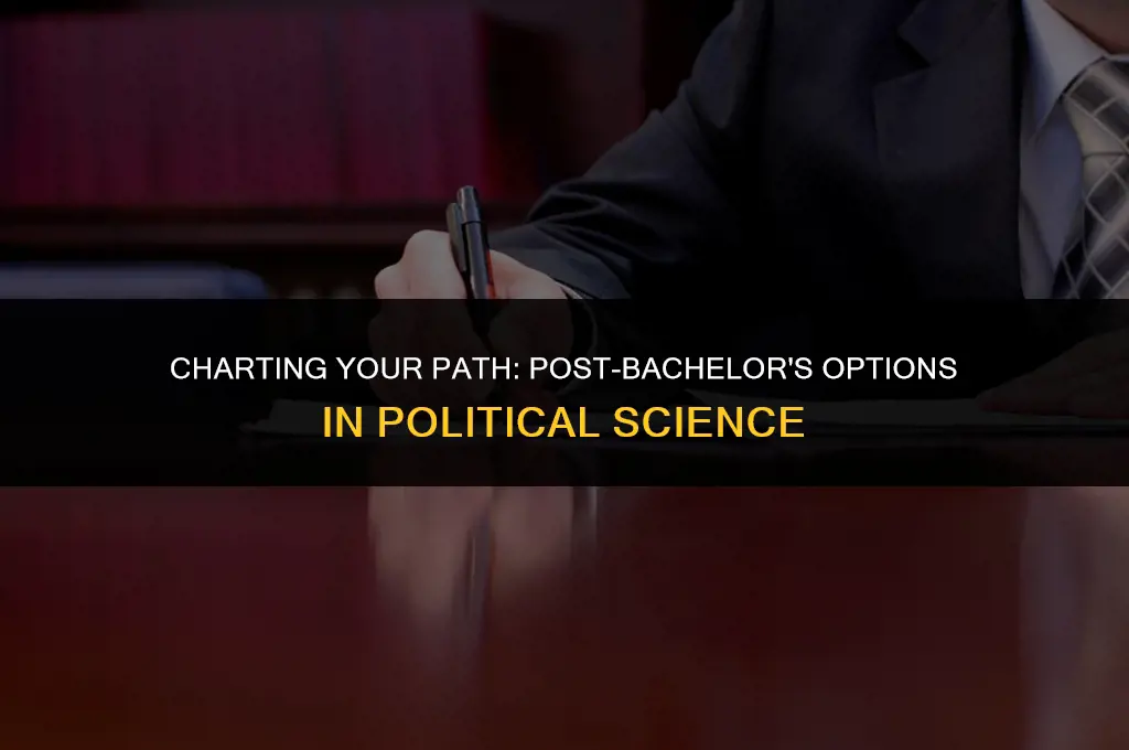 what master to do after a bachelors in political science