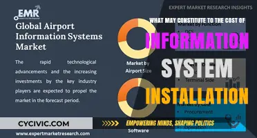 Factors Affecting Information System Installation Costs