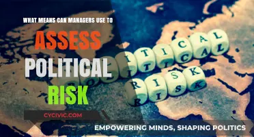 Navigating Global Waters: A Manager's Guide to Political Risk Assessment