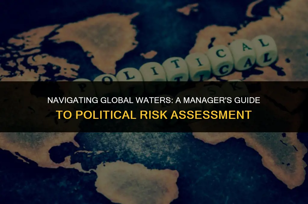 what means can managers use to assess political risk