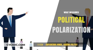Measuring Political Polarization: Key Indicators and Assessment Methods