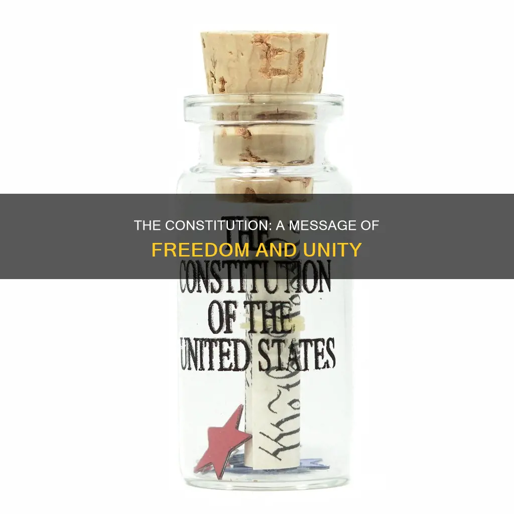 what message where they trying to convey through the constitution