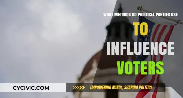 How Political Parties Sway Voters: Strategies and Tactics Explained