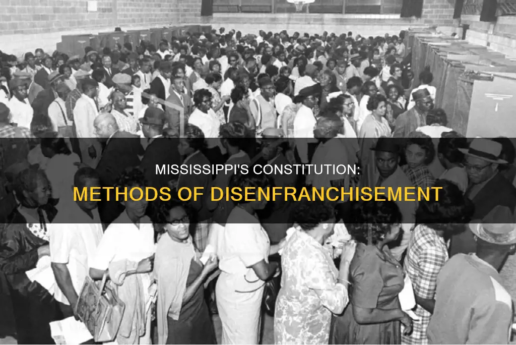 what methods of disenfranchisement did the mississippi constitution allow