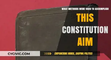 Methods Employed to Achieve Constitutional Goals