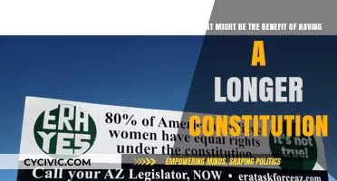 Longer Constitutions: More Detail, Less Ambiguity