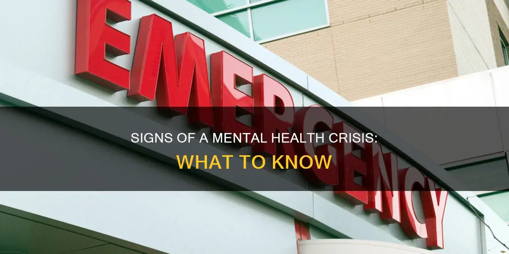 what might constitute a mental health crisis or emergency