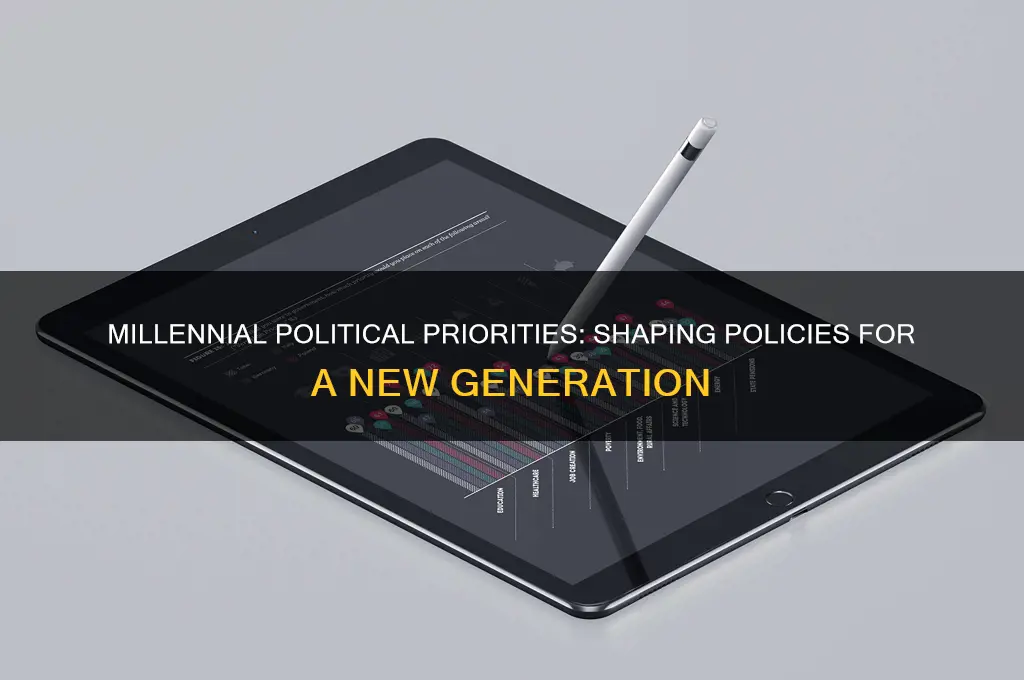 what millenials want in politics