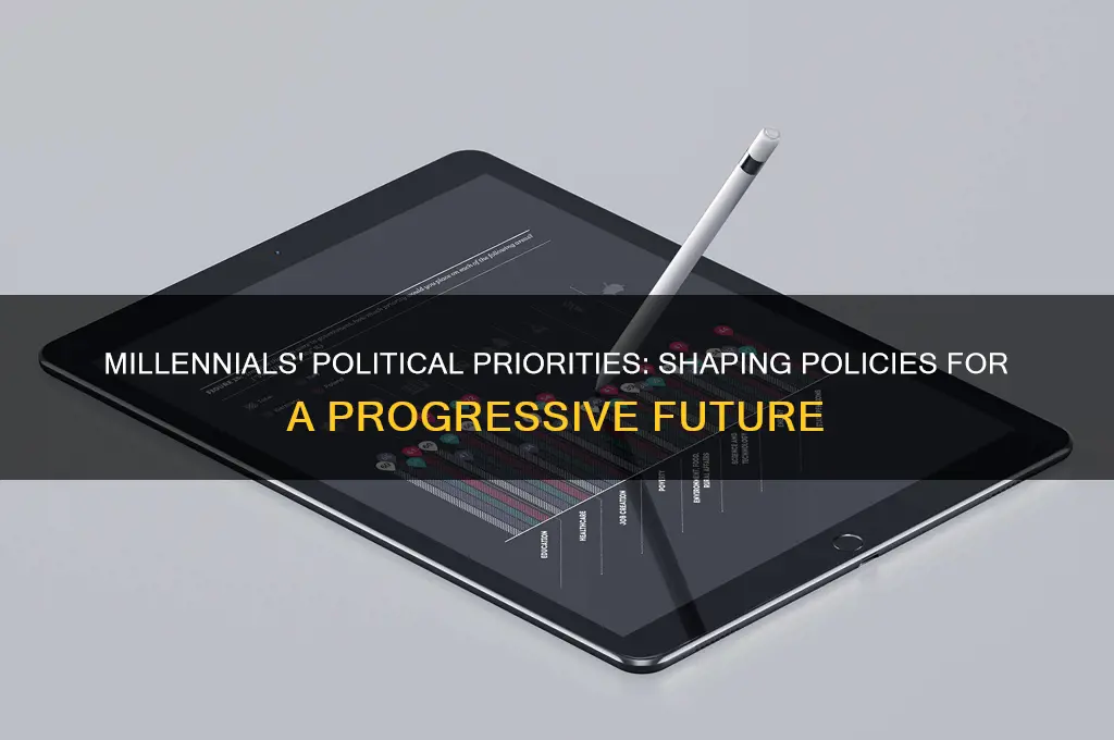 what millennials want politically