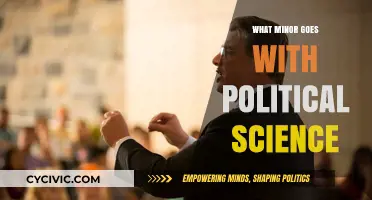 Exploring Interdisciplinary Paths: Complementary Minors for Political Science Majors