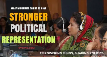 Empowering Minorities: Strategies for Stronger Political Representation