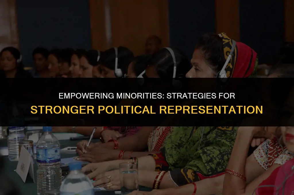what minorities can do to have stronger political representation
