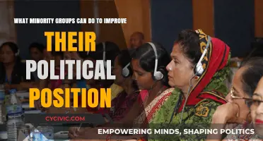 Empowering Minority Voices: Strategies for Political Advancement