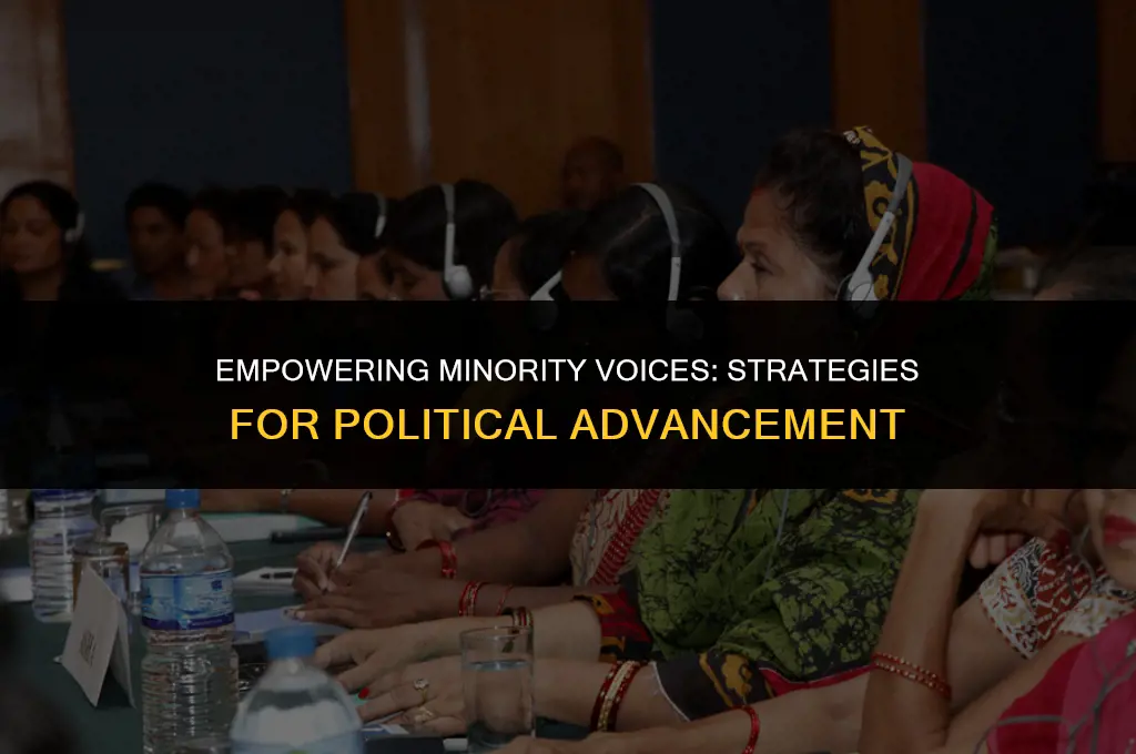 what minority groups can do to improve their political position