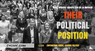 Empowering Minorities: Strategies to Enhance Political Representation