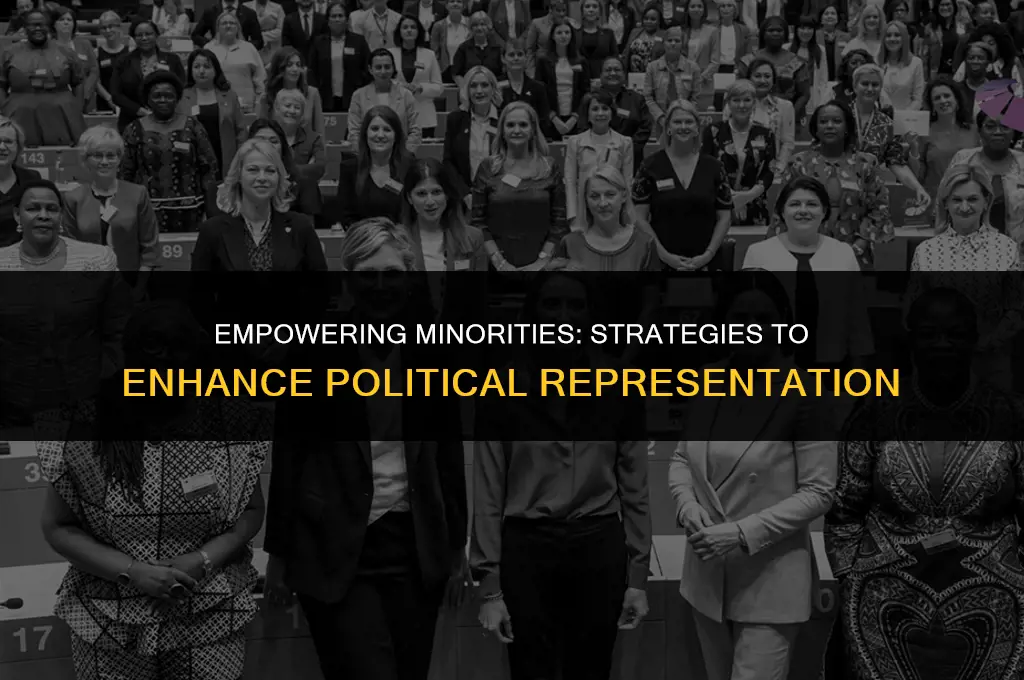 what minoriy groups can do to improve their political position
