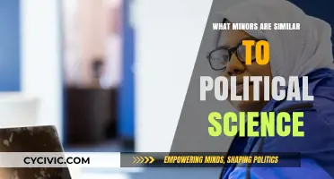 Exploring Interdisciplinary Minors That Complement Political Science