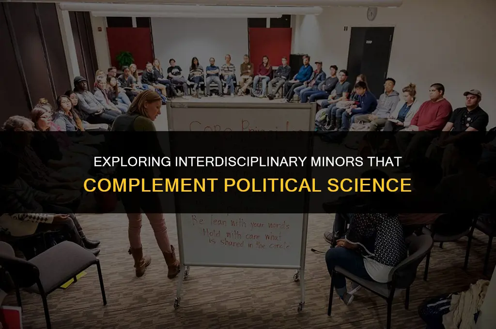 what minors are similar to political science