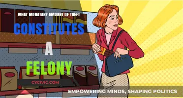 Theft Felony Thresholds: How Much Money Constitutes a Felony?
