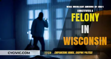 Understanding Wisconsin's Felony Theft Thresholds