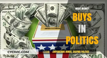 The Price of Power: How Money Shapes Political Influence and Outcomes